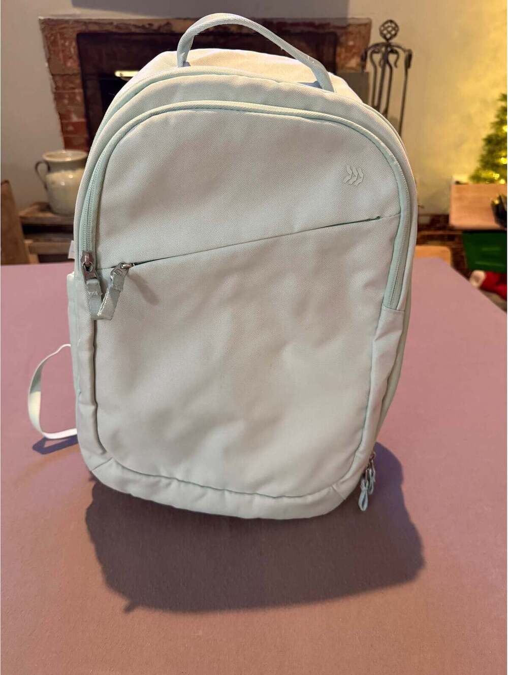 Light Sage Green Minimalist Travel Backpack – Padded Laptop/Everyday Bag